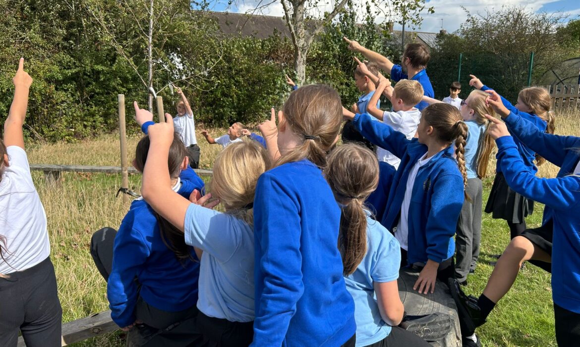 4/5WH Drama for storytelling