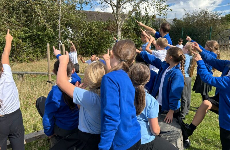 4/5WH Drama for storytelling