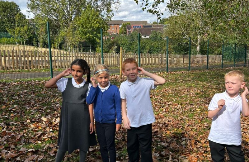 3T – Exploring Sound Sources👂