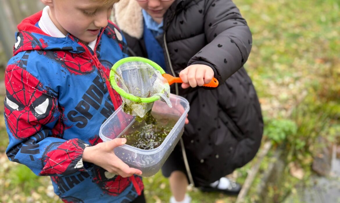 Pond Dipping in Y2S