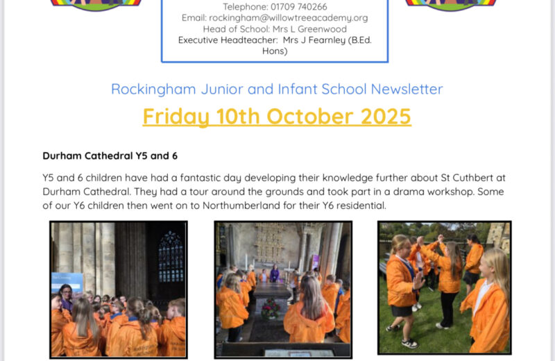 Newsletter 10th of October