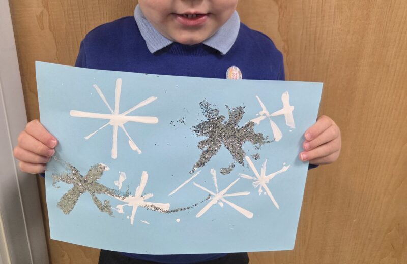 F1/2 Snowflake Prints