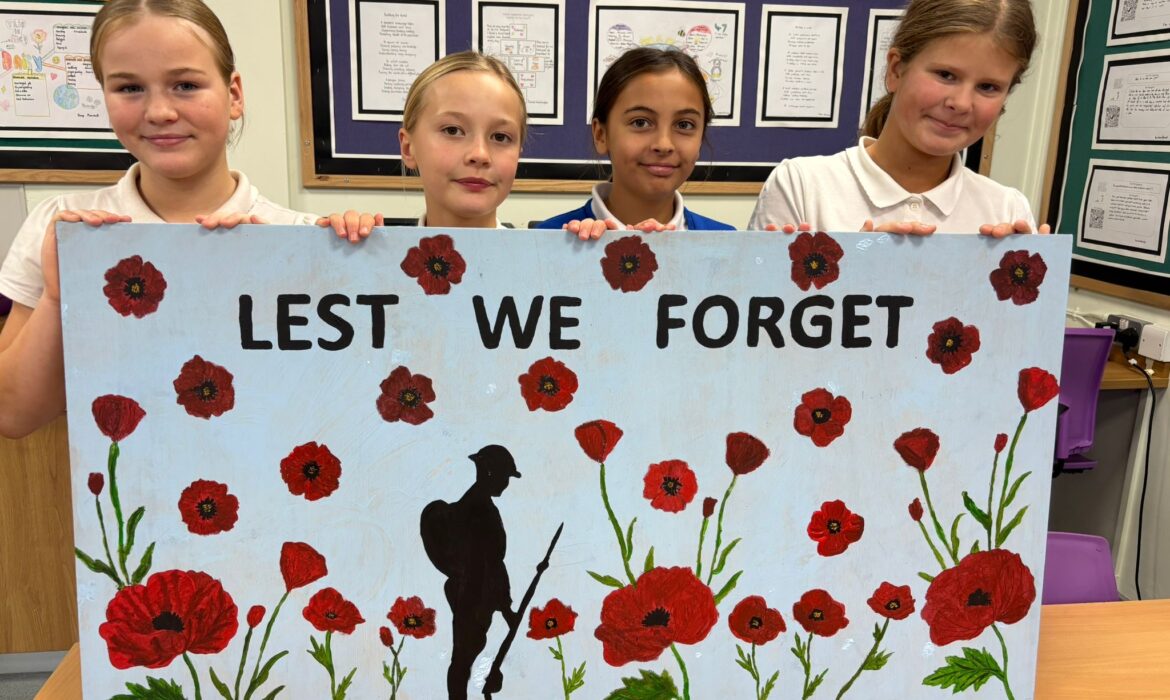 Poppy Artwork Y6B