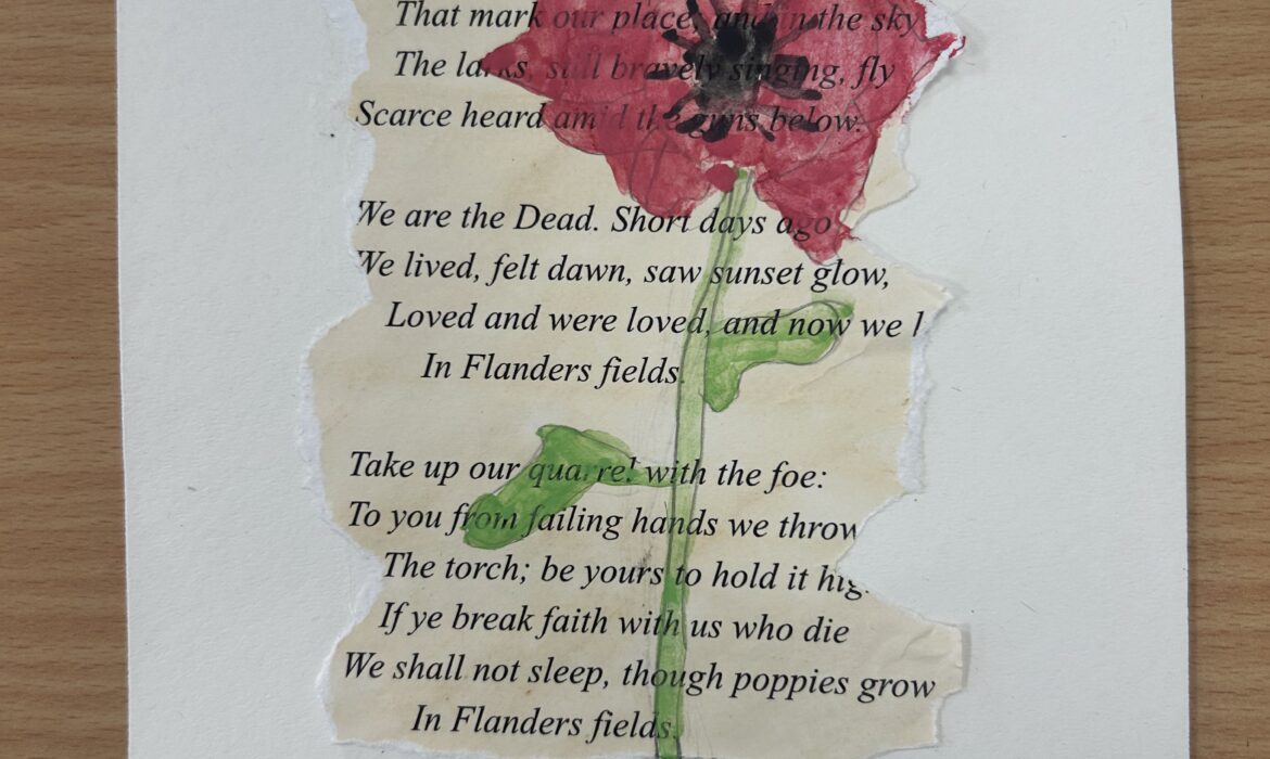 3T Remembrance Day Artwork