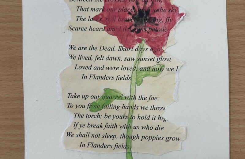 3T Remembrance Day Artwork