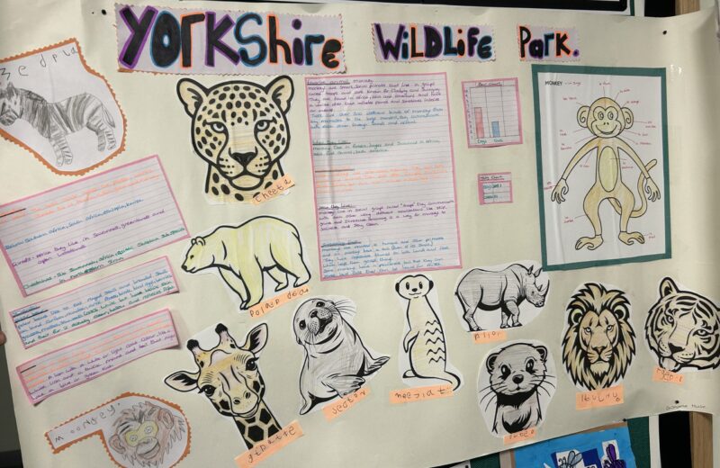 Home Learning in 1/2B!