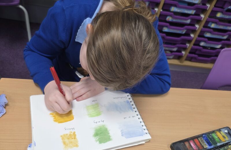 Y5/6D water colour techniques