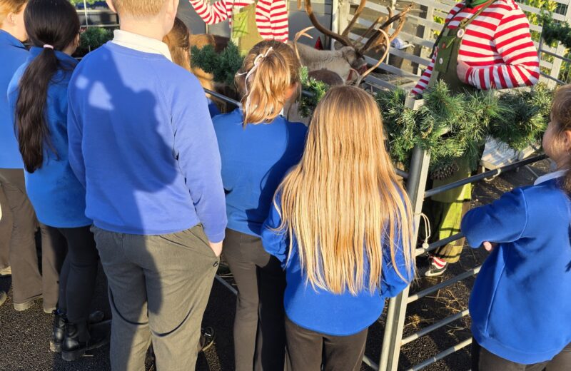 5/6D Meet The Reindeers