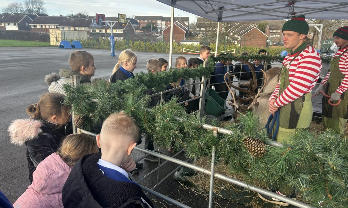 Meeting the reindeers – 3T