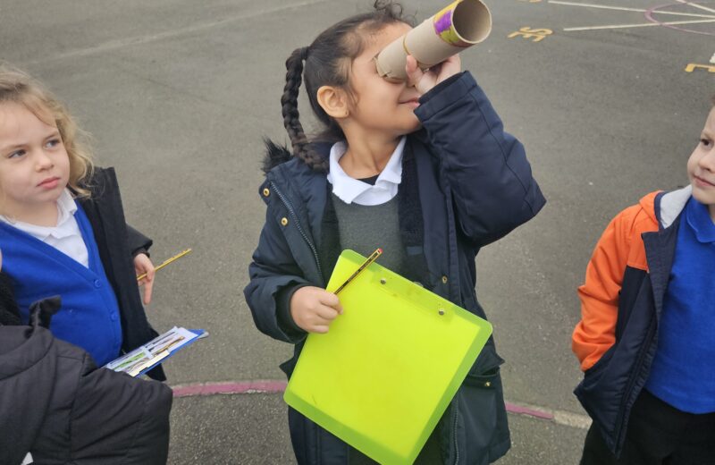 Big School Birdwatch