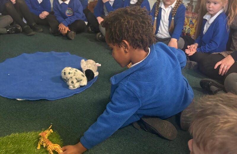 Science – animals and their habitats
