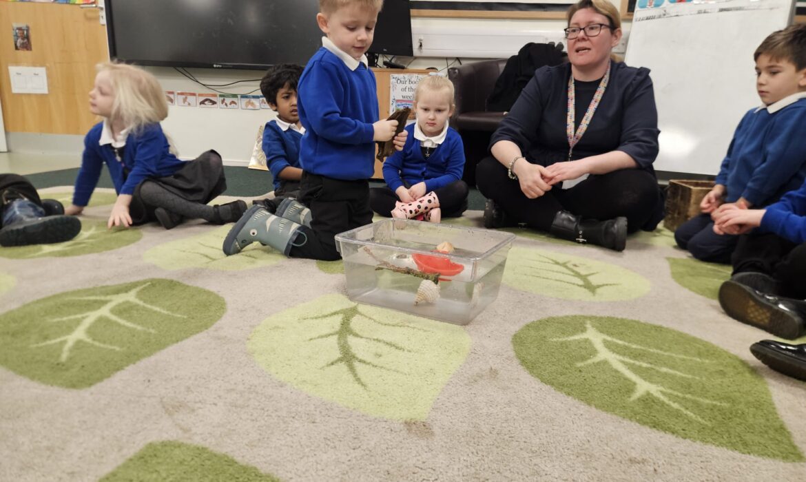 F1/2- exploring sinking and floating.