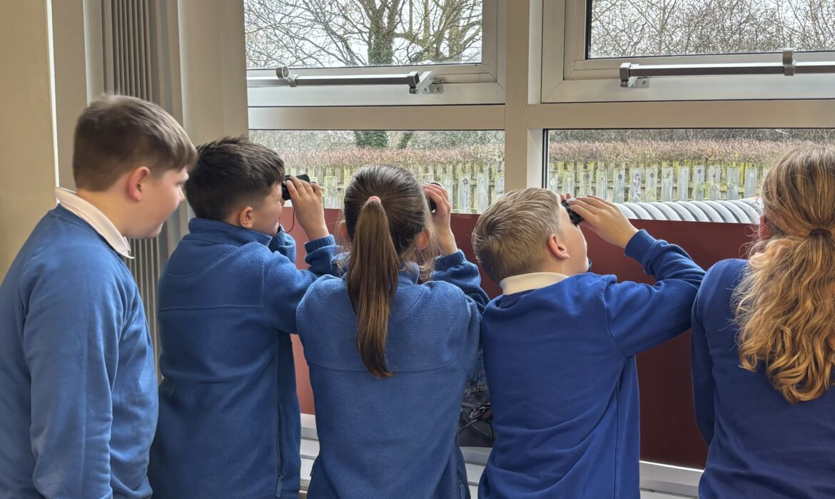 6B complete the RSPB Big Garden Birdwatch