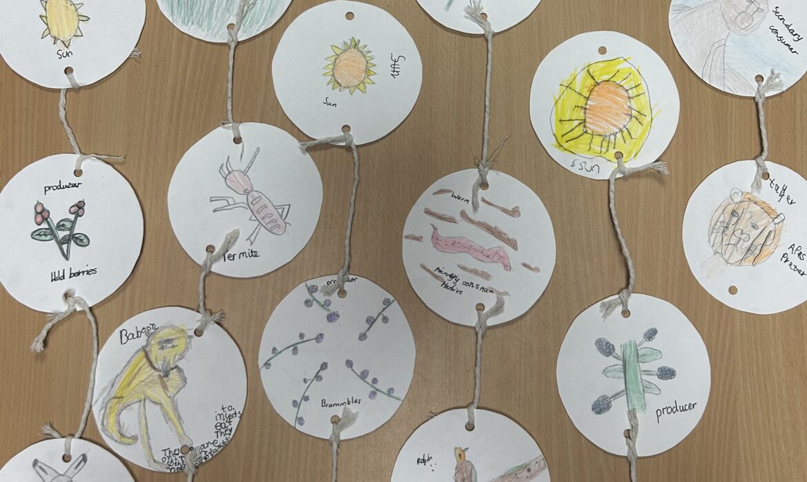 3T – Food chains