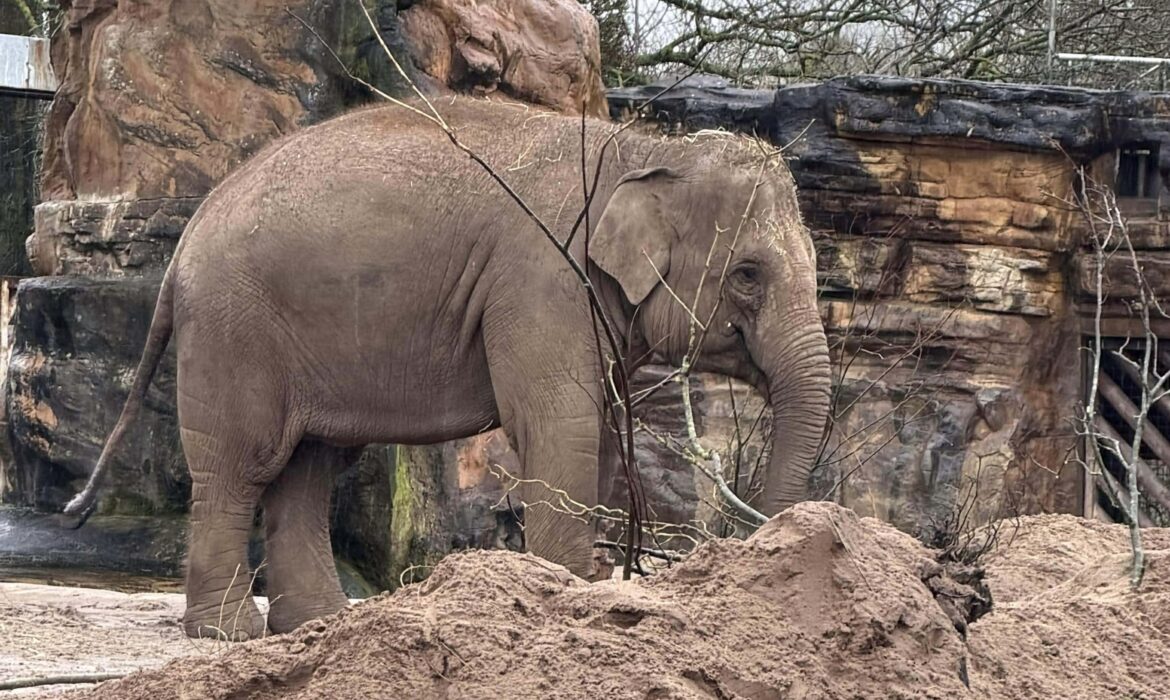 3/4P and 3T visit Chester Zoo