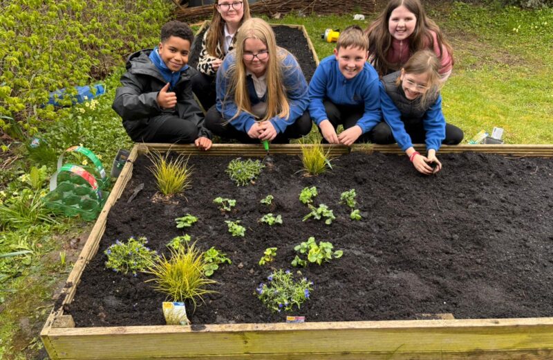 Y4/5WH get planting underway 🌱