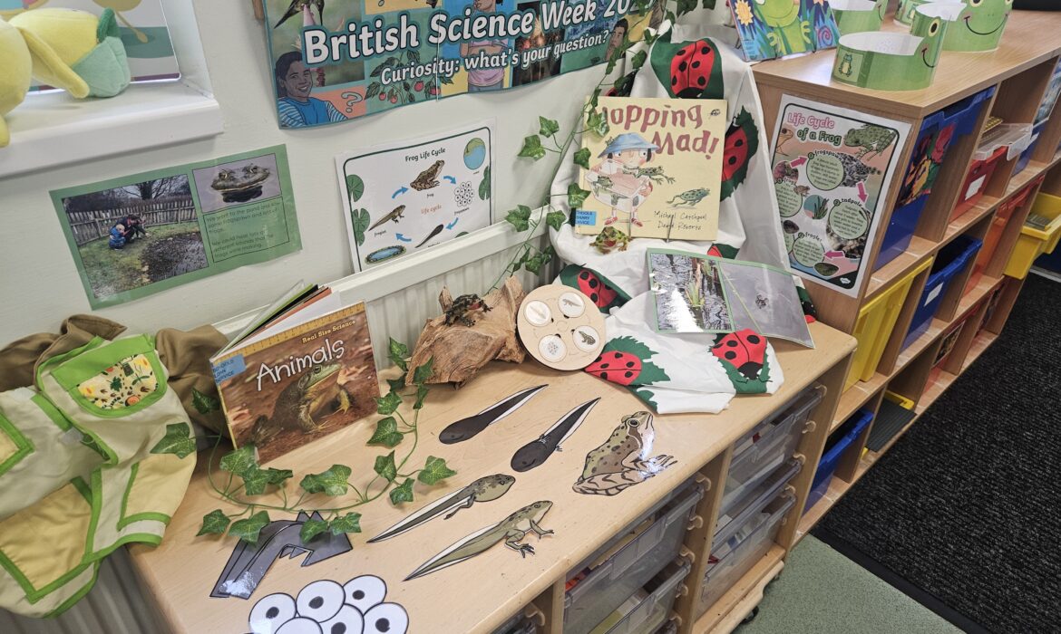 Science week in Recpetion