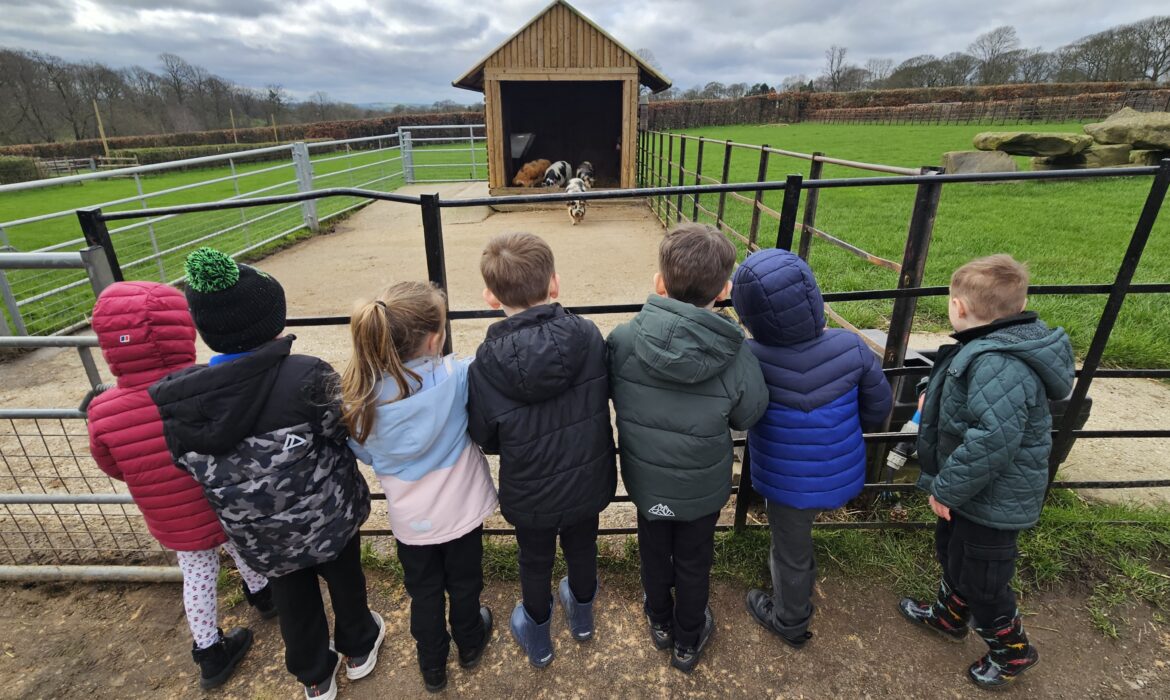 Visit to the Farm
