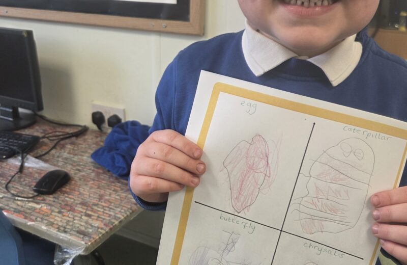 F1/2- Science week