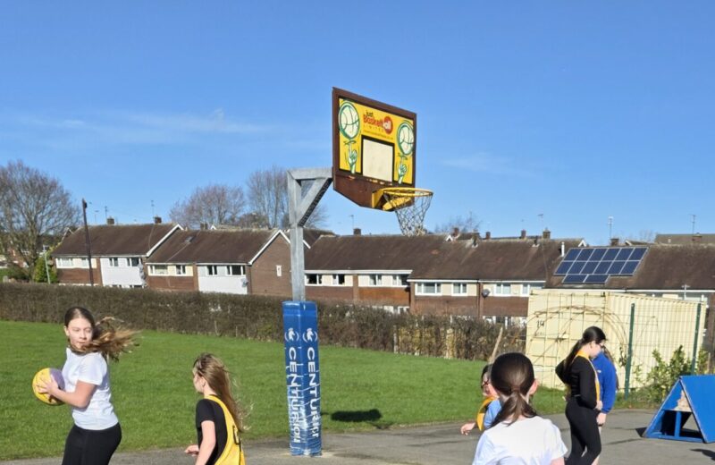 Y5/6D Basketball