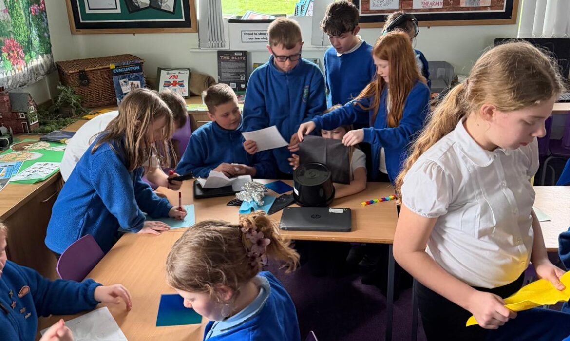 Y5/6D Blackout Investigation