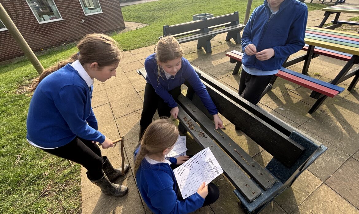 6B Morse Code in the Forest School