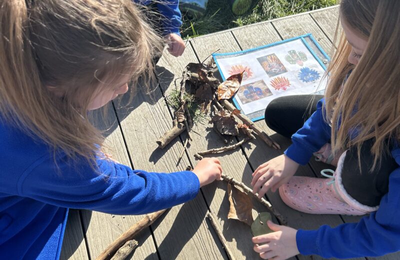 3T Sri Lankan Masks in forest school