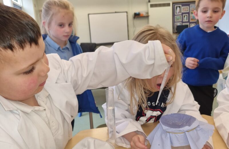 Scientists in 1/2B!