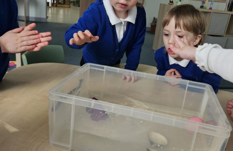 Science Week