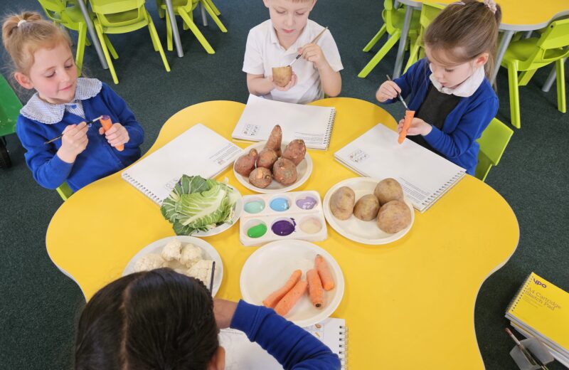 Vegetable printing