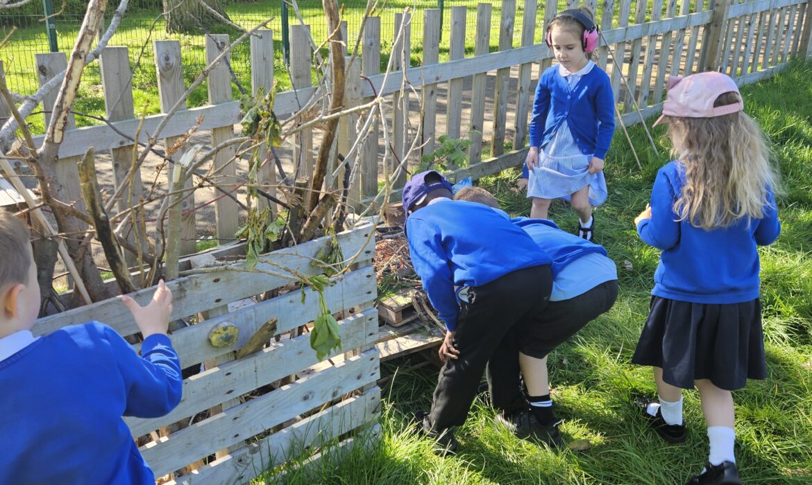 Forest school – Bug hotels