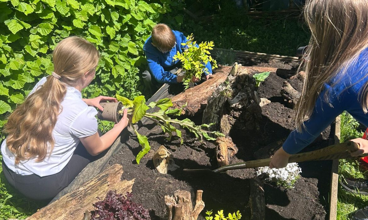 Gardening Project Y5/6D