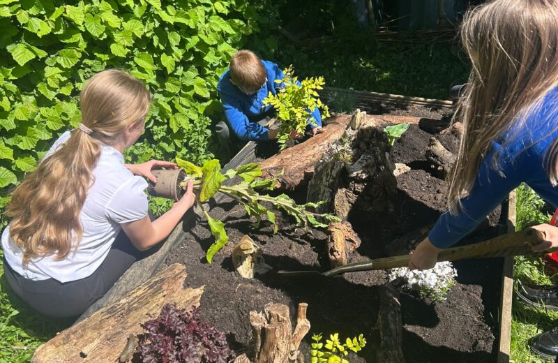 Gardening Project Y5/6D