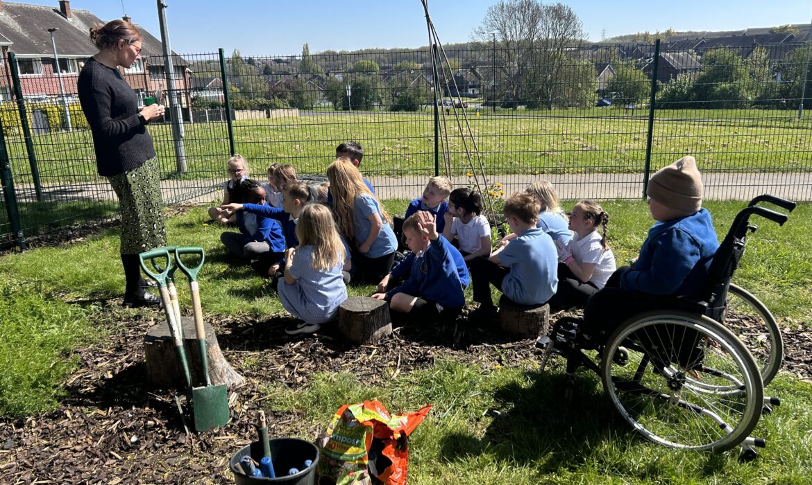 1/2B Go Planting!