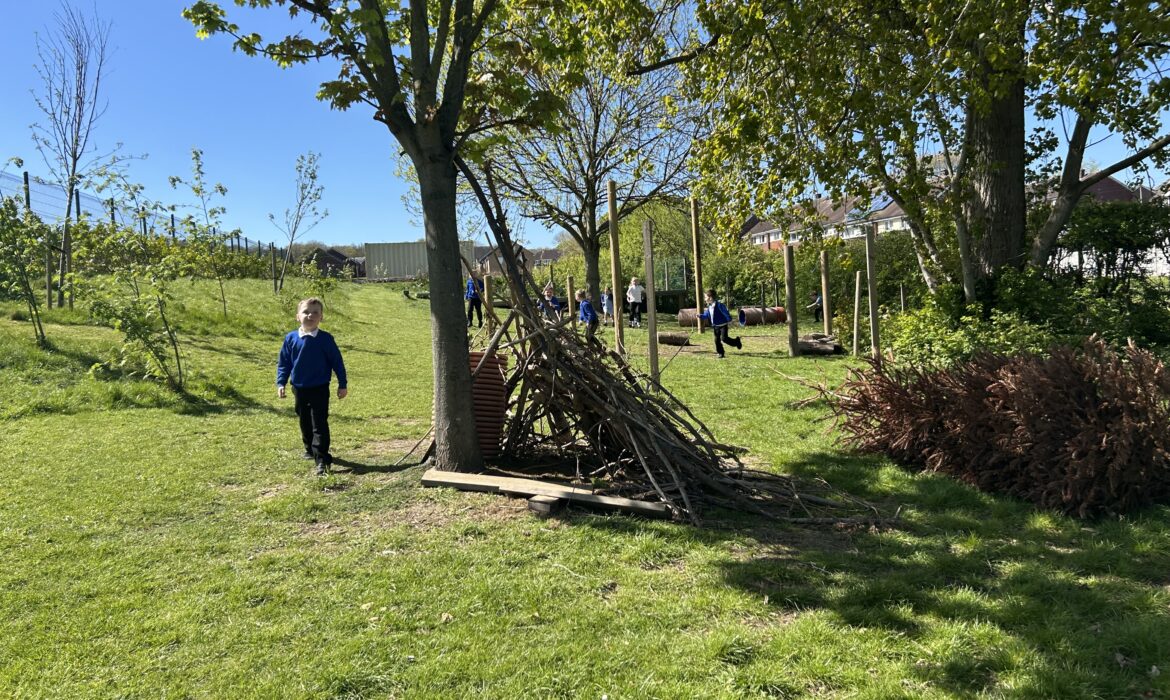 Forest School Fun in 1/2B