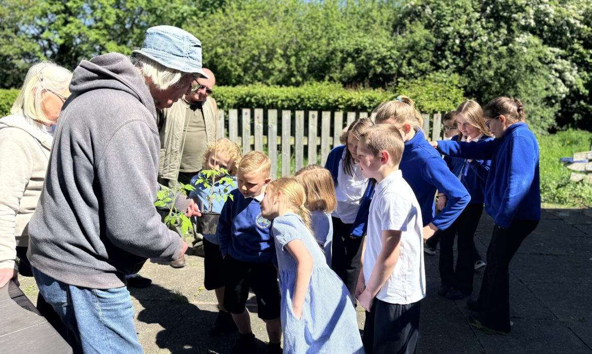 Friends of Greasbrough Park Visit