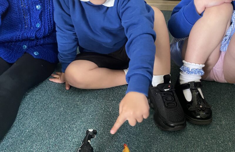 Early Maths: One More