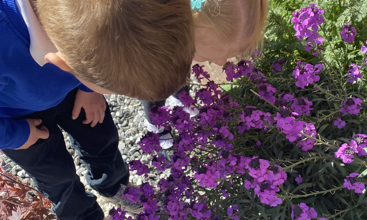 Exploring the Sensory Garden
