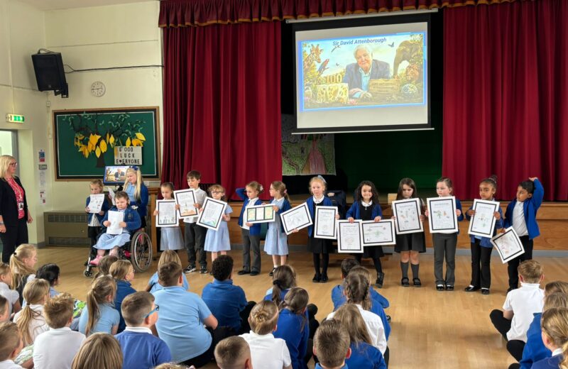 Celebrating David Attenborough 100 🌍