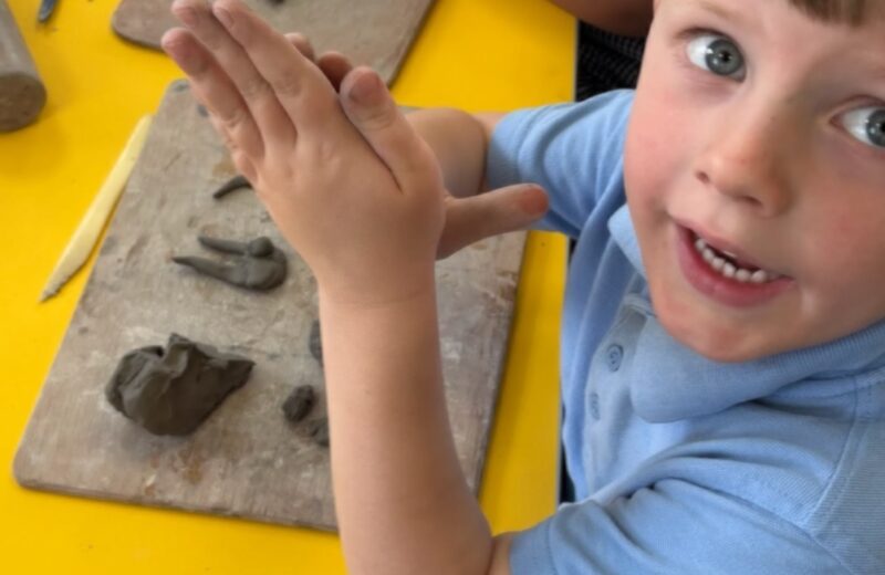 Clay insects