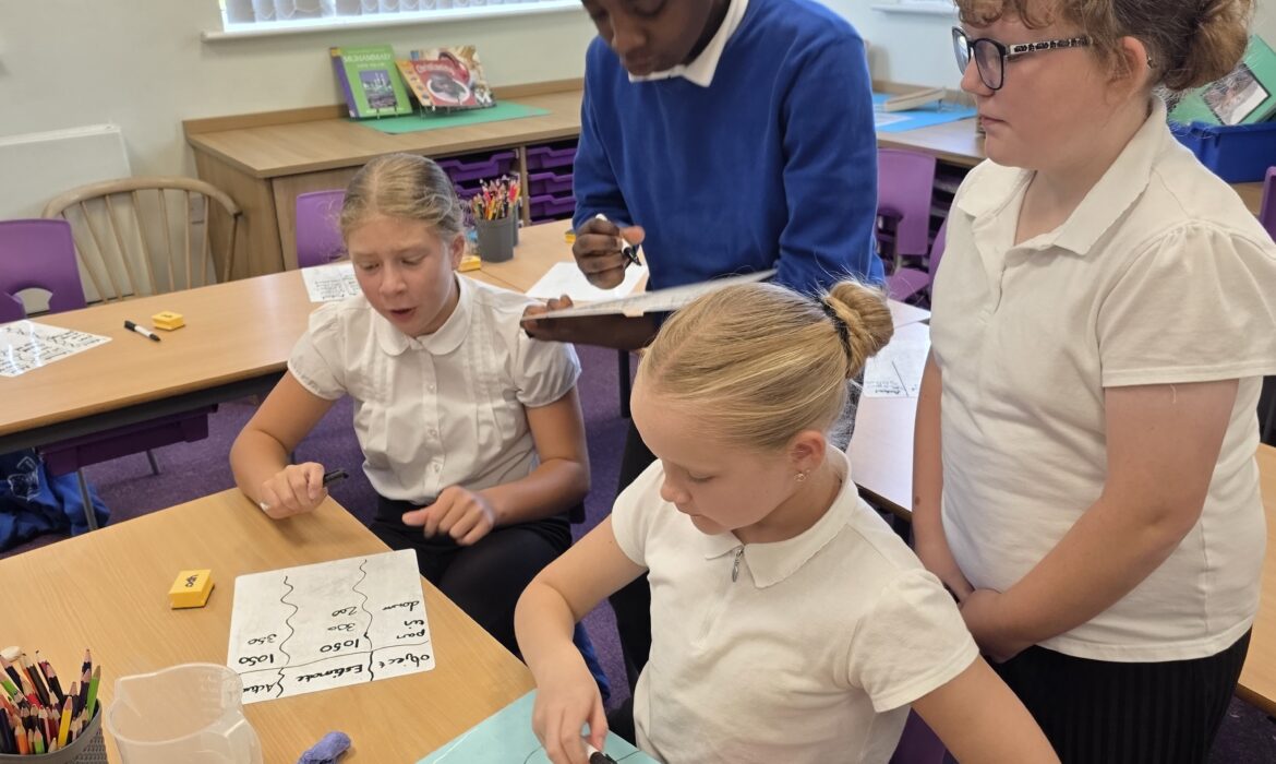 Y5/6D Estimating Capacity