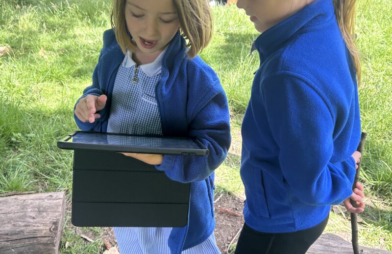 Y3 busy in the forest school!