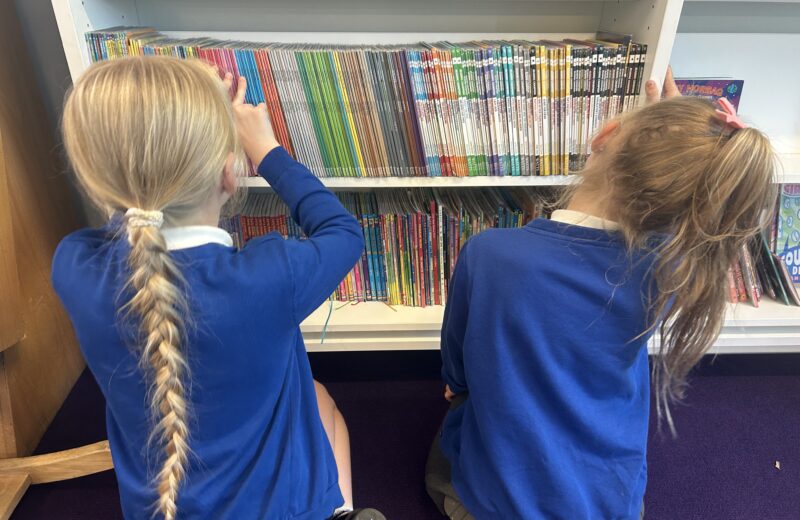 3T Library Visit📚